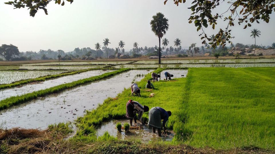 Photo of Escape to the Magical Hampi 6/10 by Shiva Rajvanshi