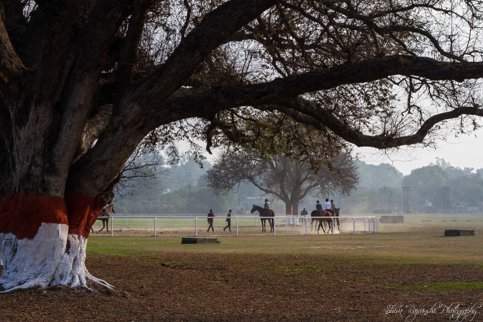 Photo of Lucknow: City of Nawabs, Kebabs, Architecture and Culture 20/23 by Shiva Rajvanshi