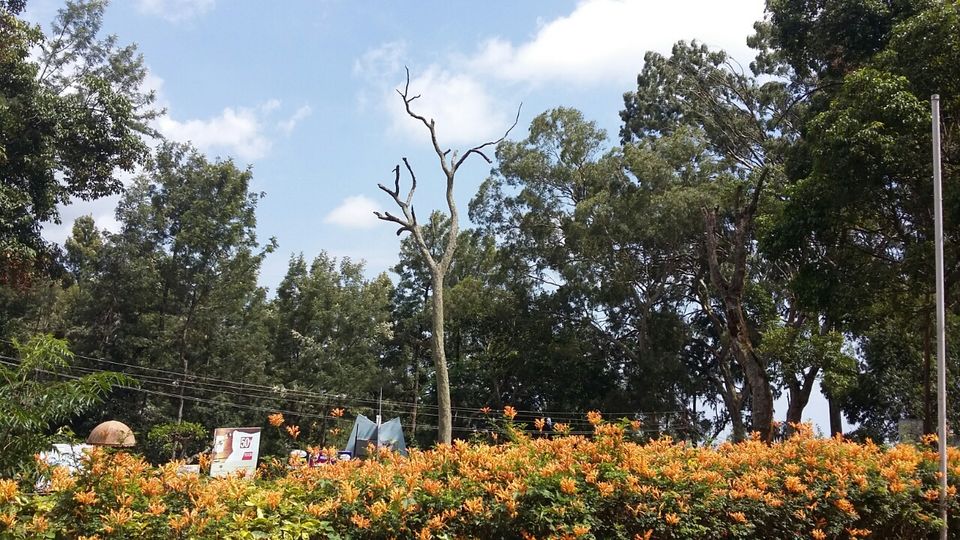 Photo of Why should you visit Yercaud? by Sidharth Kaushal
