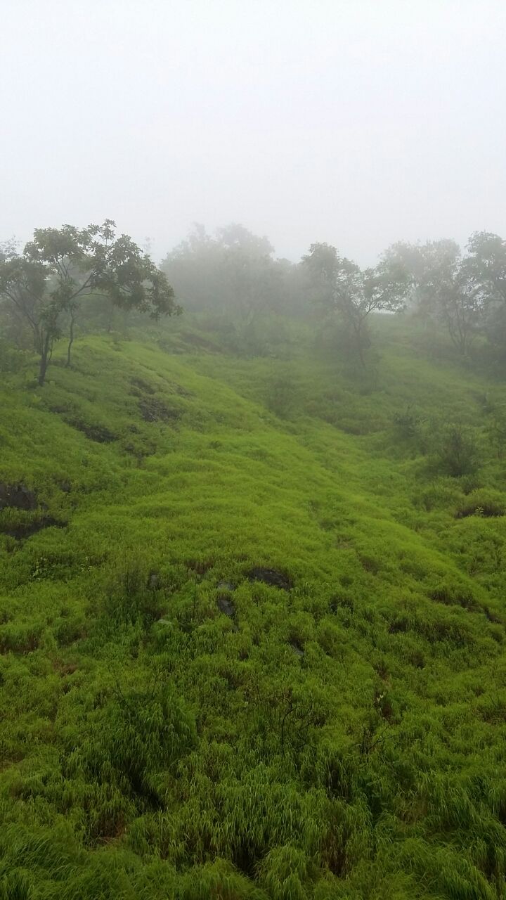 Photo of Tamhini ghat: Natures gift to you. Unpack it. Cherish it. Protect it. by Sidharth Kaushal