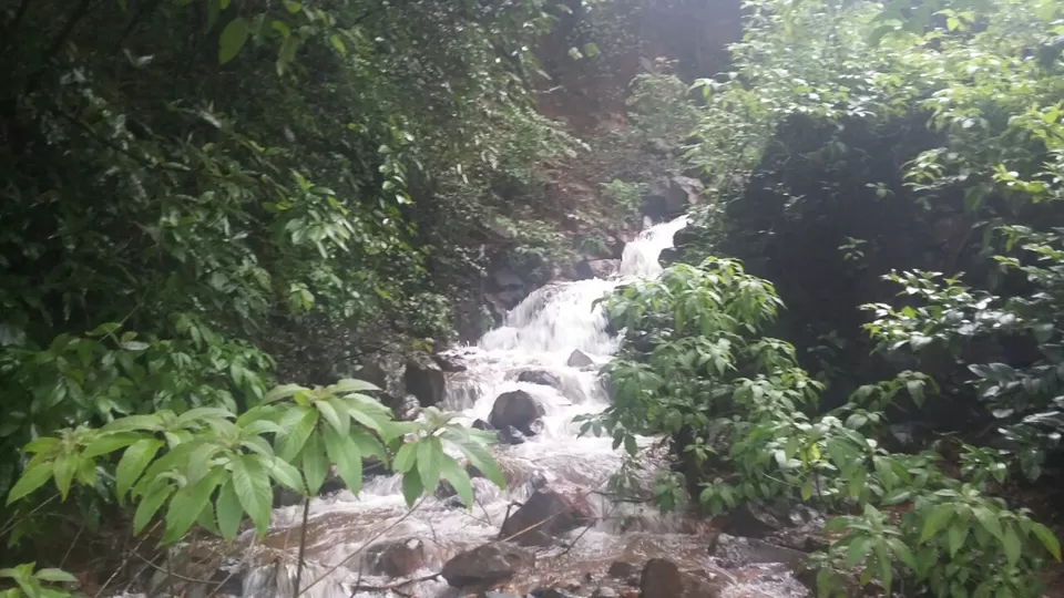 Photo of Don't visit malls on Sunday. Nature is waiting for you... by Sidharth Kaushal