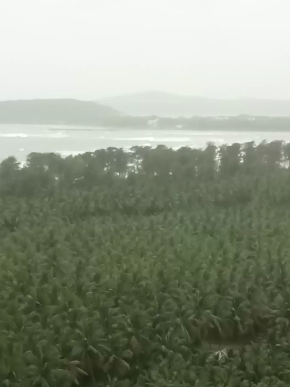 Photo of Rajiwada Road, Ratnagiri, India by Sidharth Kaushal