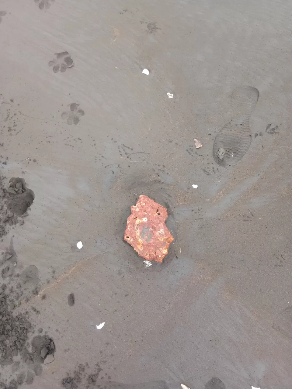 Photo of Rajiwada Road, Ratnagiri, India by Sidharth Kaushal