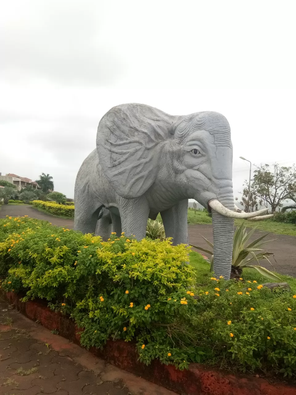 Photo of Rajiwada Road, Ratnagiri, India by Sidharth Kaushal
