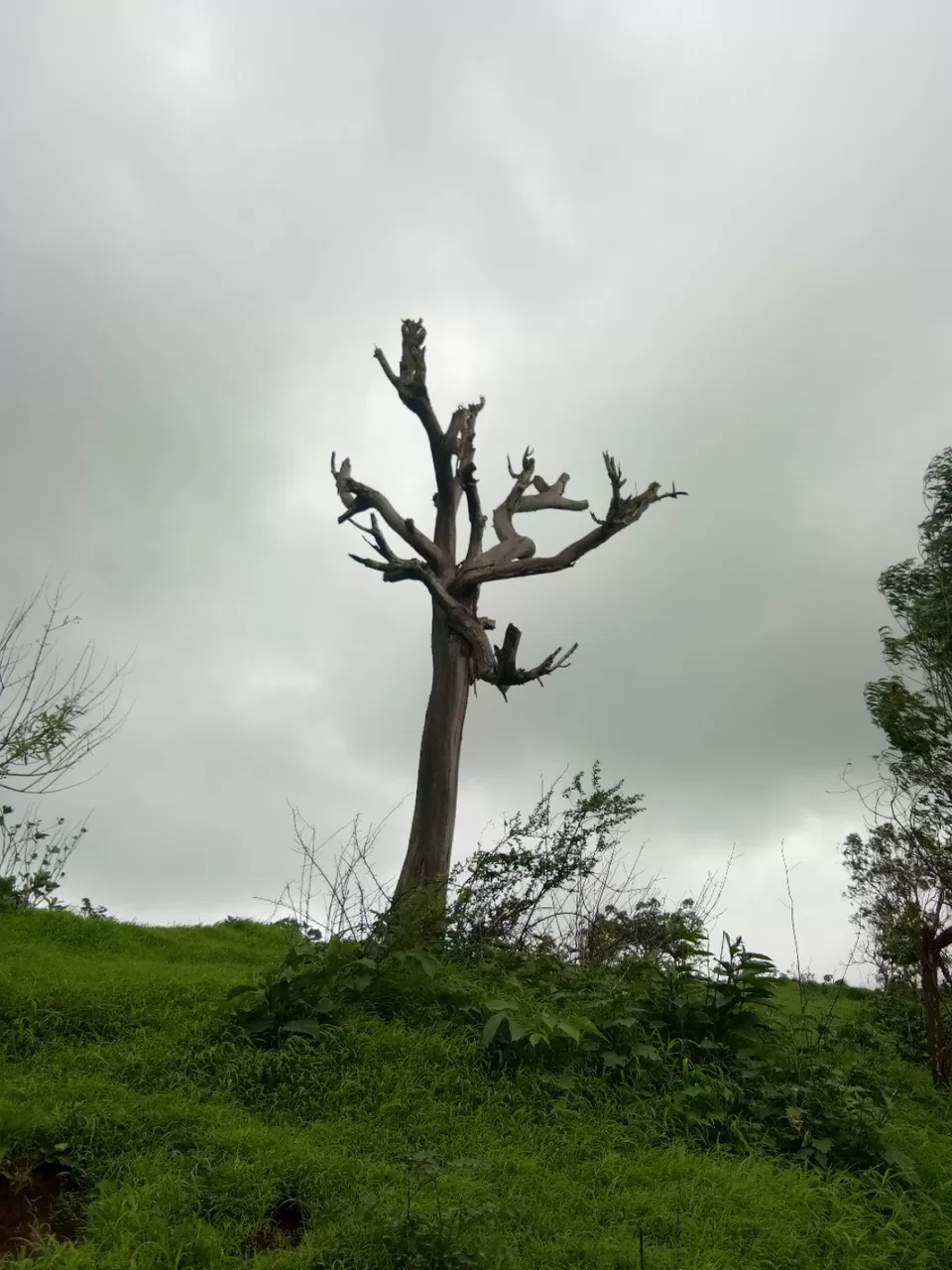 Photo of Malkapur - Shirala Road, Kolhapur, India by Sidharth Kaushal