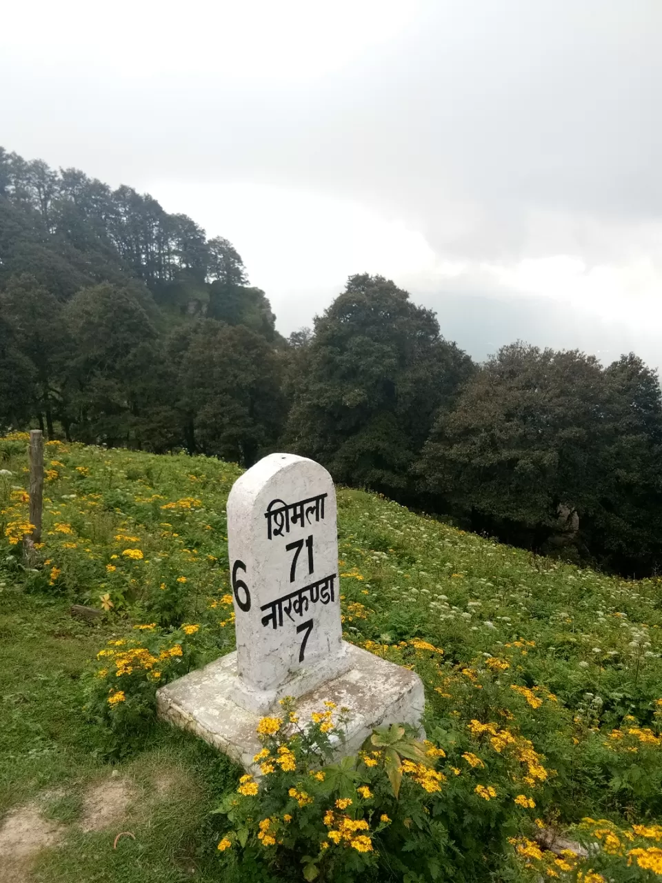 Photo of If you are bored of Shimla, read this. by Sidharth Kaushal