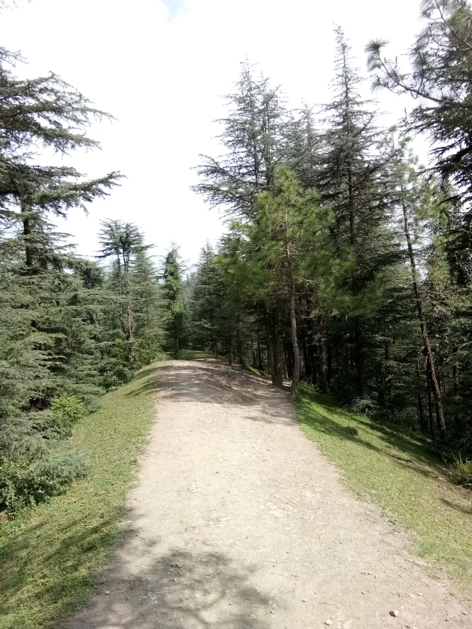 Photo of If you are bored of Shimla, read this. by Sidharth Kaushal