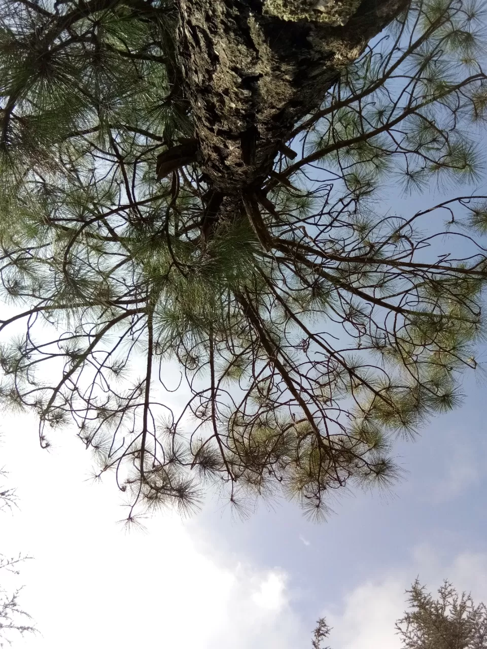 Photo of If you are bored of Shimla, read this. by Sidharth Kaushal
