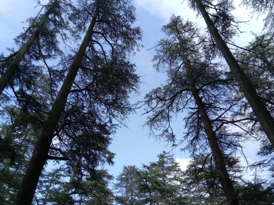 Photo of If you are bored of Shimla, read this. by Sidharth Kaushal