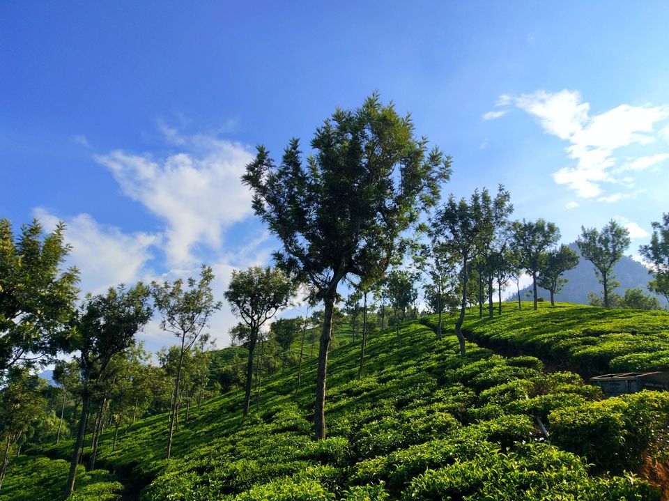 Photo of Dolphin Nose View Point, Dolphins nose Road, Alwarpet, Burliyar, Tamil Nadu, India by Sidharth Kaushal
