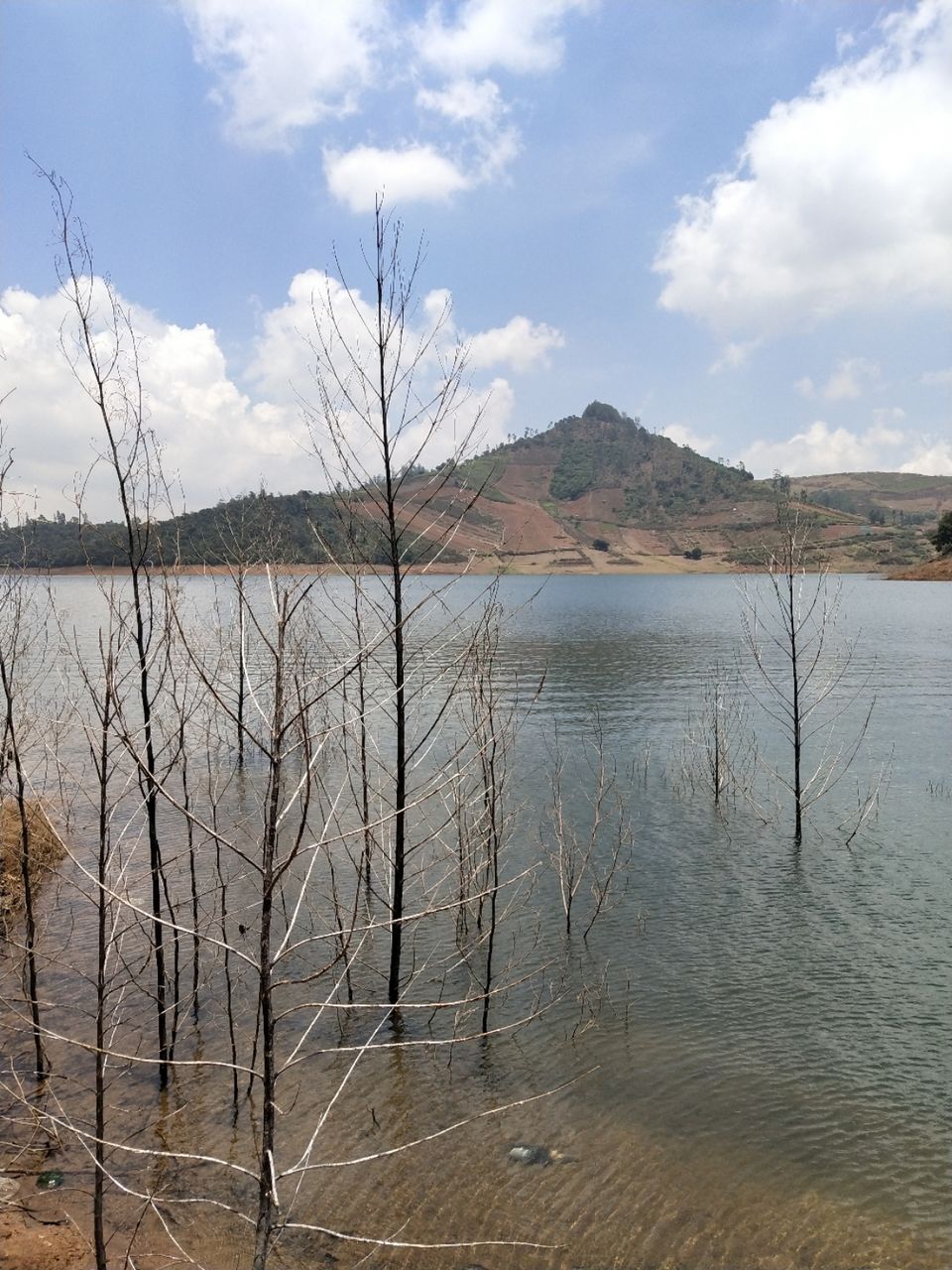 Photo of Secrets and Handy tips for your Bandipur/Ooty / Coonoor trip #LearningHoliday by Sidharth Kaushal