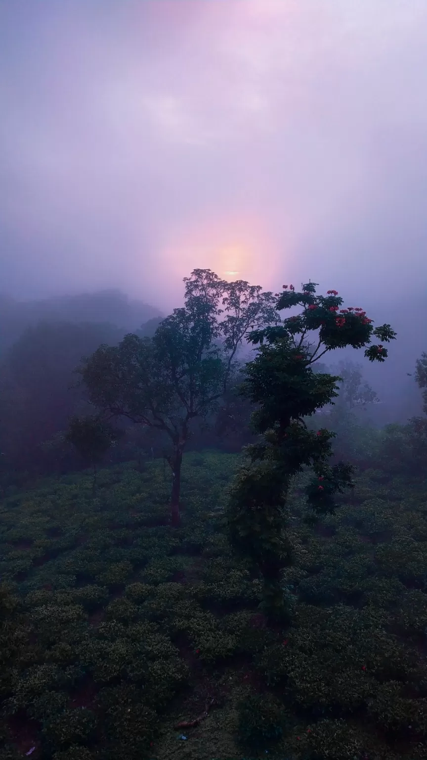 Photo of Vagamon Musings by Sidharth Kaushal