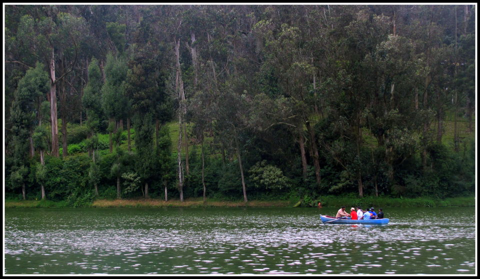 Photo of Escapade to Coonoor and Ooty 1/12 by Debashish Pradhan