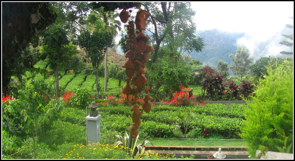 Photo of Escapade to Coonoor and Ooty 3/12 by Debashish Pradhan
