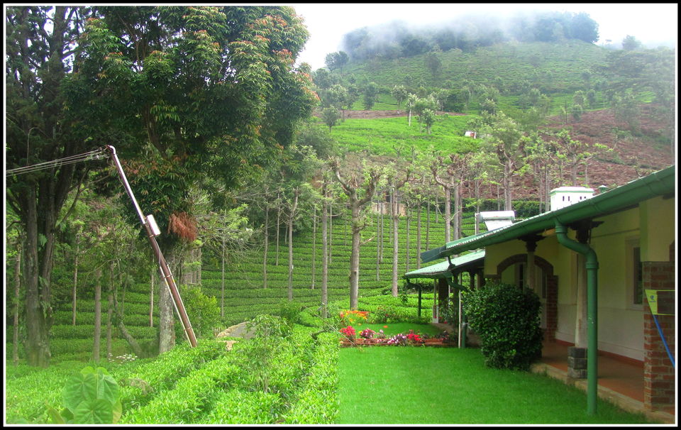 Photo of Escapade to Coonoor and Ooty 5/12 by Debashish Pradhan