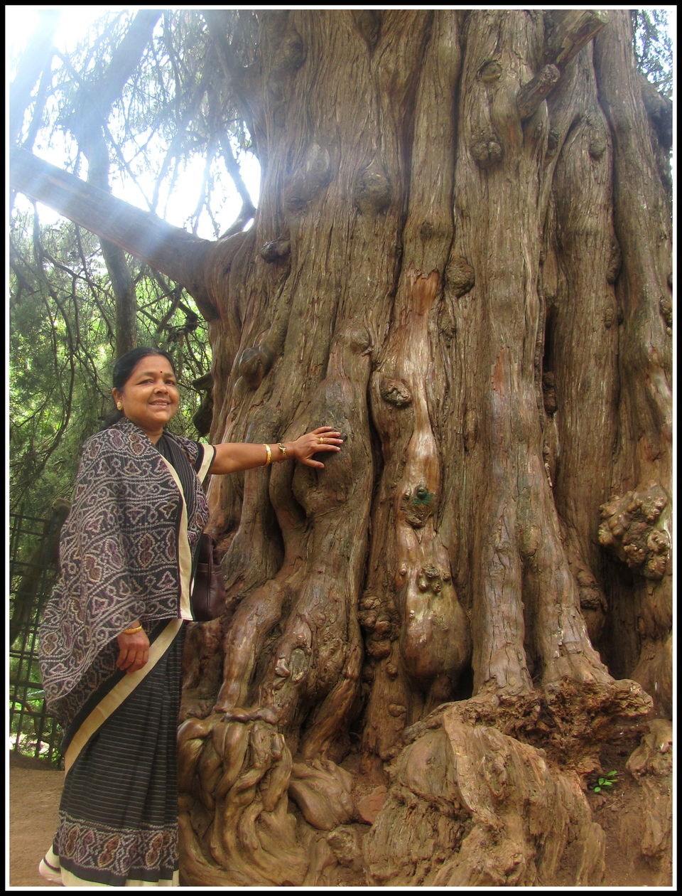 Photo of Escapade to Coonoor and Ooty 6/12 by Debashish Pradhan