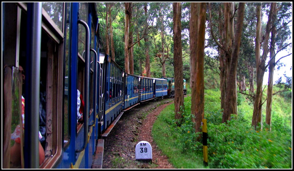 Photo of Escapade to Coonoor and Ooty 9/12 by Debashish Pradhan