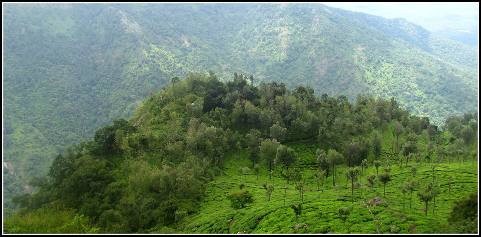 Photo of Escapade to Coonoor and Ooty 11/12 by Debashish Pradhan