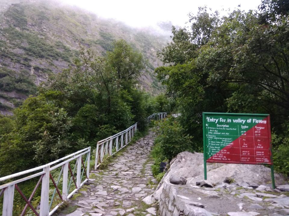 Photo of Valley of Flowers National Park, Chamoli, Uttarakhand, India by Vinay Singhal