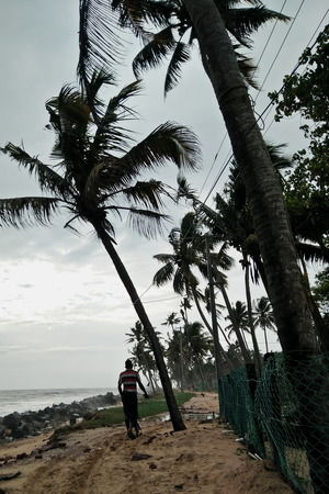 Photo of Marari Beach, Beach Road, Mararikulam, Kerala, India by Prajakta Kuwalekar