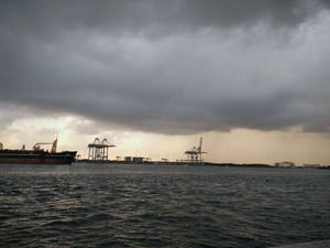 Photo of Fort Kochi, Kochi, Kerala, India by Prajakta Kuwalekar