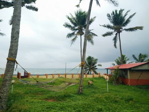 Photo of Varkala, Varkala, Kerala, India by Prajakta Kuwalekar