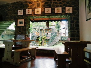 Photo of Thekkady, Kumily, Kerala, India by Prajakta Kuwalekar