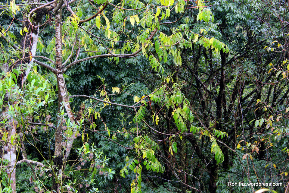 Photo of An Incredible Journey To North Sikkim 9/16 by Dr. Rohit Reddy Pathuri