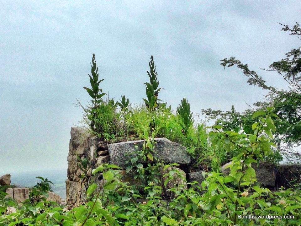 Photo of Discovering Telangana: A Fort Less Visited 'Khilla Ghanpur' 22/31 by Dr. Rohit Reddy Pathuri
