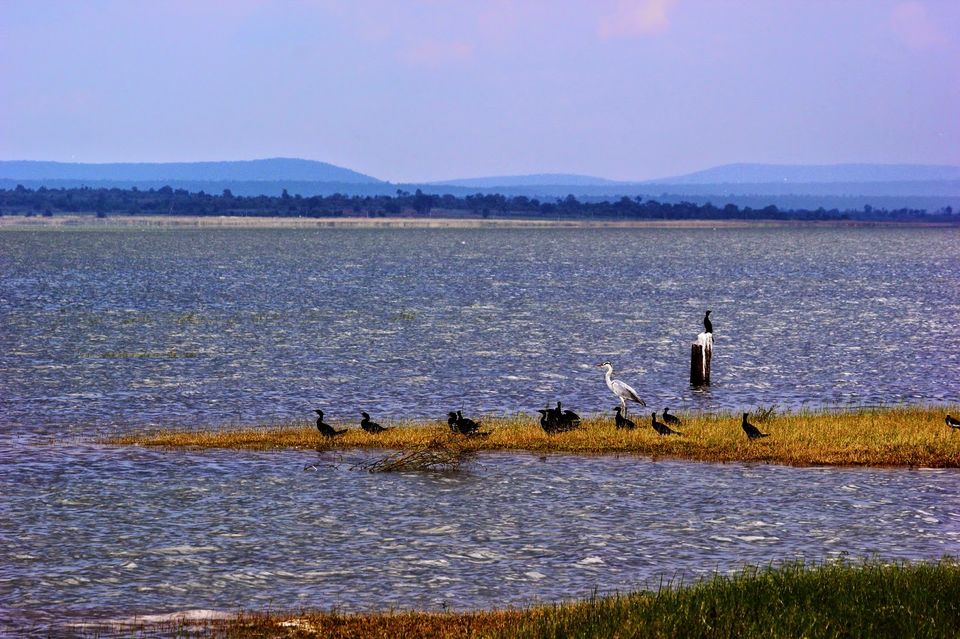 Photo of Weekend getaway to Warangal 1/16 by Dr. Rohit Reddy Pathuri