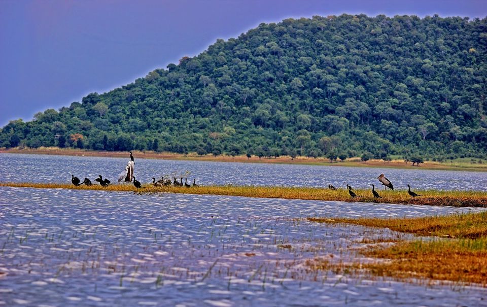 Photo of Weekend getaway to Warangal 5/16 by Dr. Rohit Reddy Pathuri