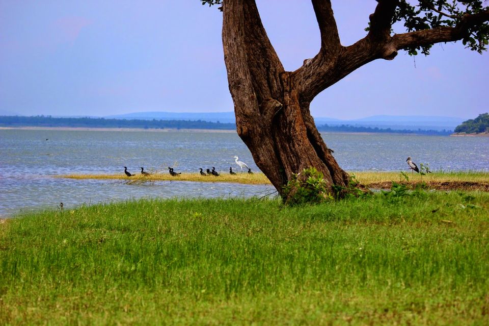 Photo of Weekend getaway to Warangal 7/16 by Dr. Rohit Reddy Pathuri