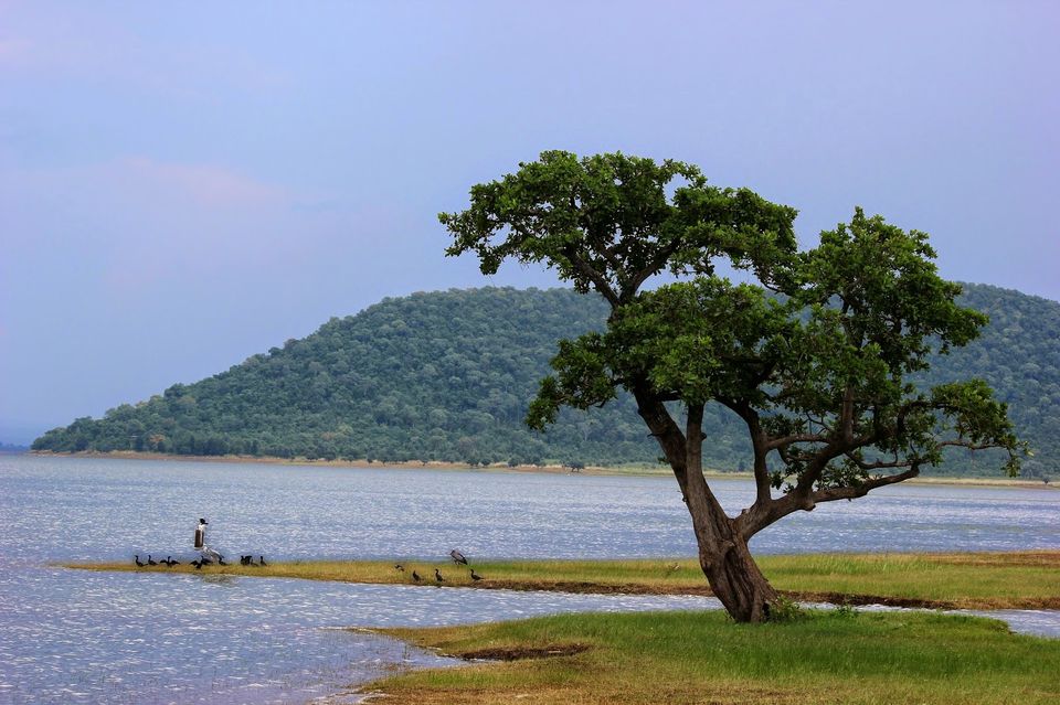 Photo of Weekend getaway to Warangal 9/16 by Dr. Rohit Reddy Pathuri