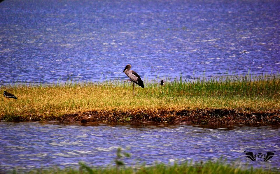 Photo of Weekend getaway to Warangal 13/16 by Dr. Rohit Reddy Pathuri