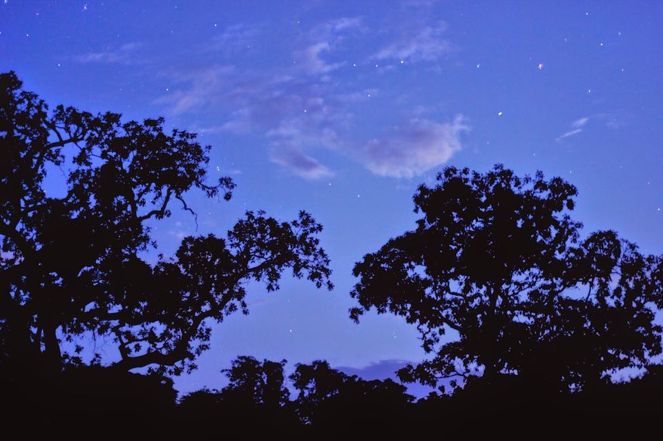 Photo of Weekend getaway to Warangal 15/16 by Dr. Rohit Reddy Pathuri