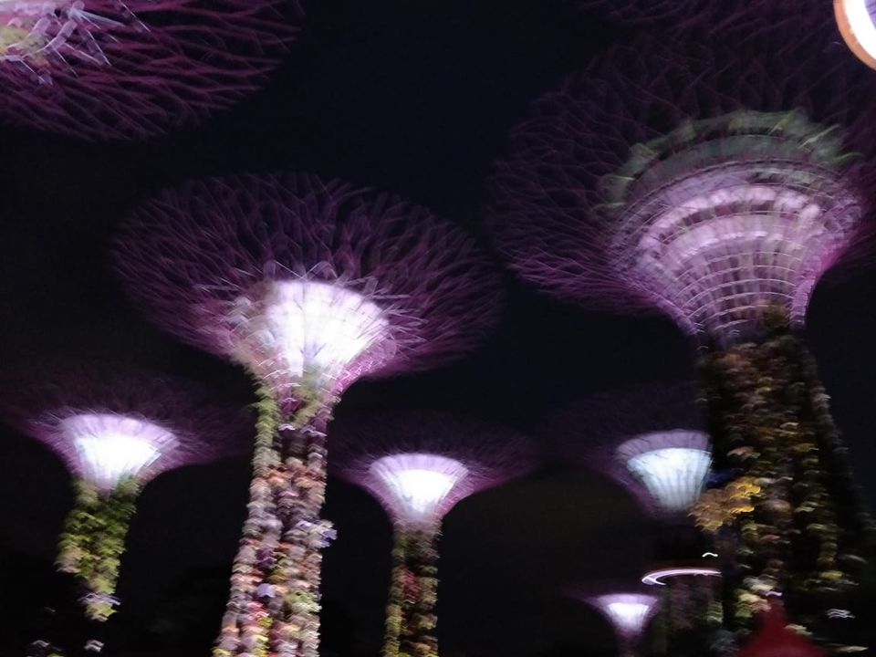 Photo of Garden by the Bay - Orchid Extravaganza, Marina South, Singapore by Prateek Gupta