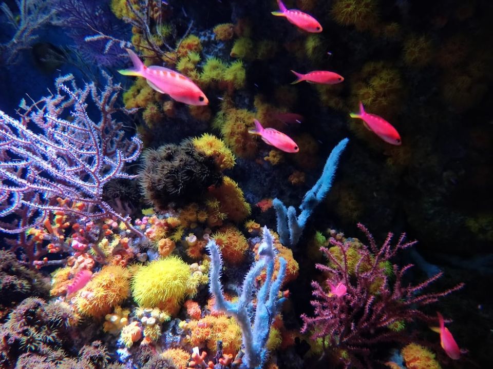 Photo of Sentosa Gateway, S.E.A. Aquarium, Sentosa Island, Singapore by Prateek Gupta