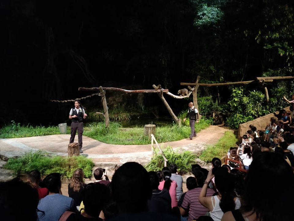 Photo of Mandai Lake Road, Night Safari, Singapore by Prateek Gupta
