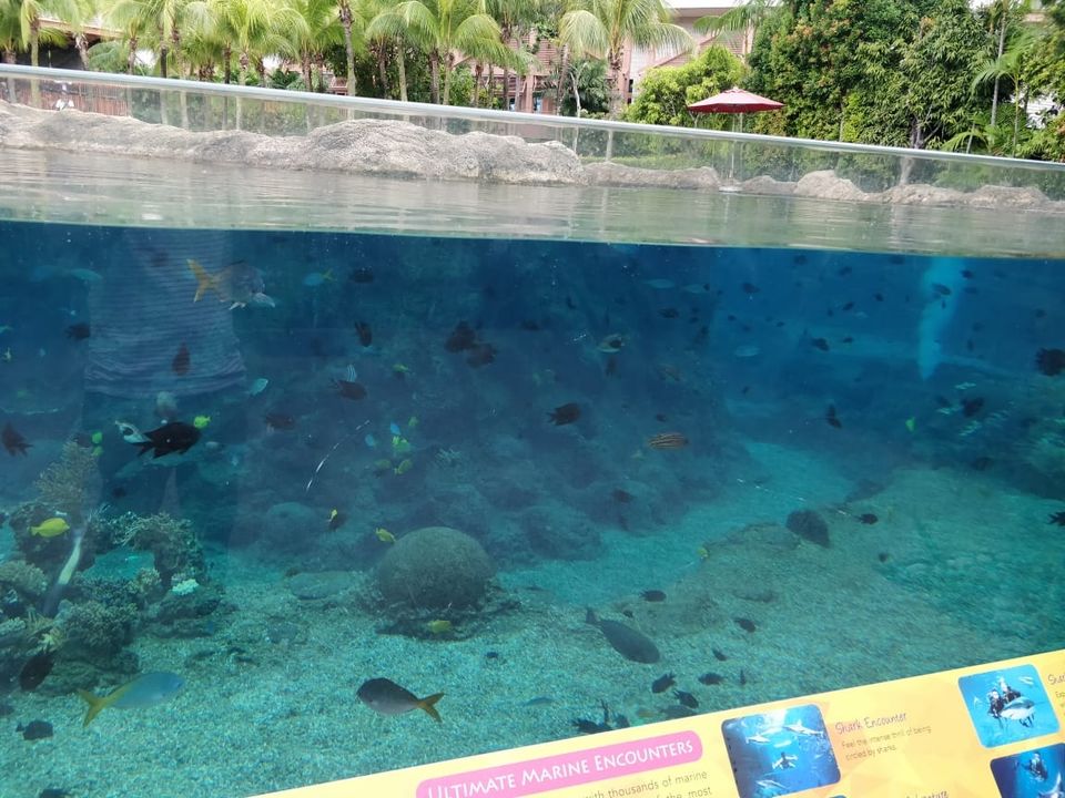 Photo of Sentosa Gateway, Adventure Cove Waterpark, Singapore by Prateek Gupta