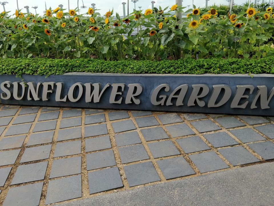 Photo of Airport Boulevard, Jewel Changi Airport, Singapore by Prateek Gupta