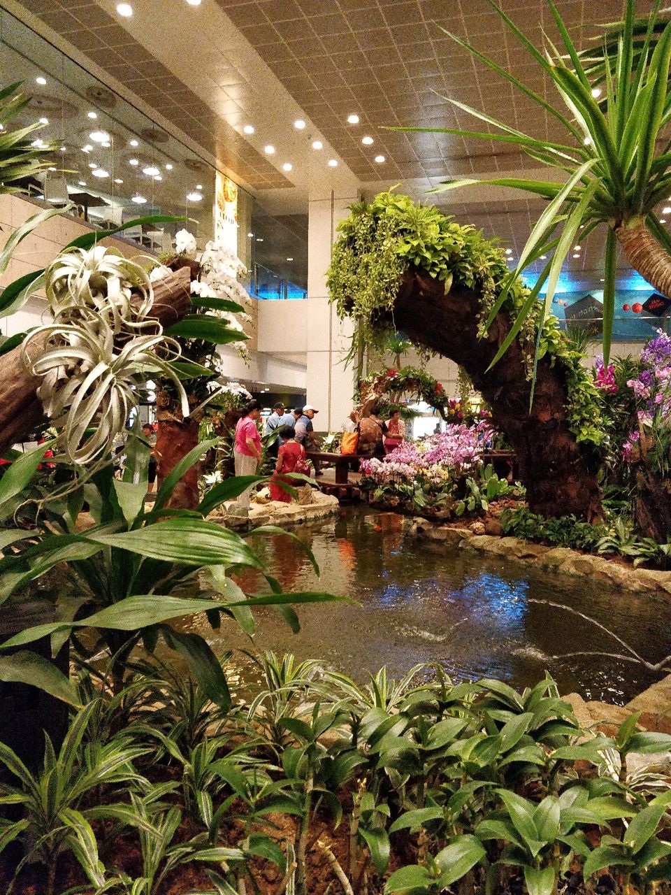 Photo of Airport Boulevard, Jewel Changi Airport, Singapore by Prateek Gupta