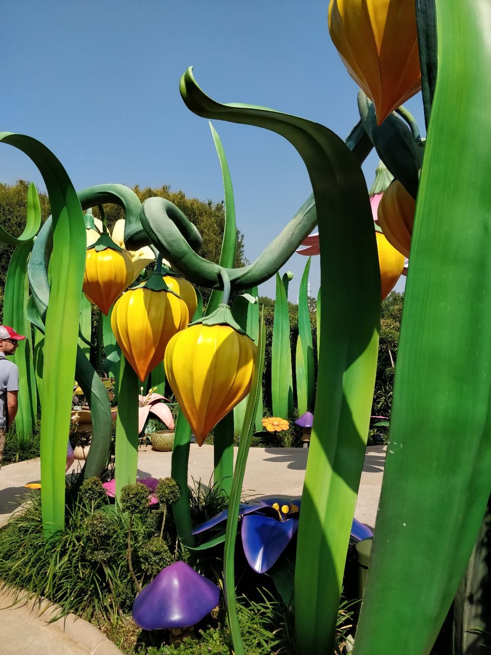 Photo of Hong Kong Disneyland, Lantau Island, Hong Kong by Prateek Gupta