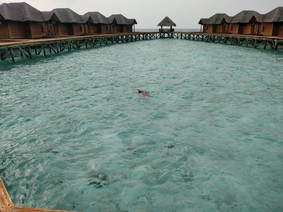 Photo of Budget Maldives 11 days @66k p.p by Prateek Gupta