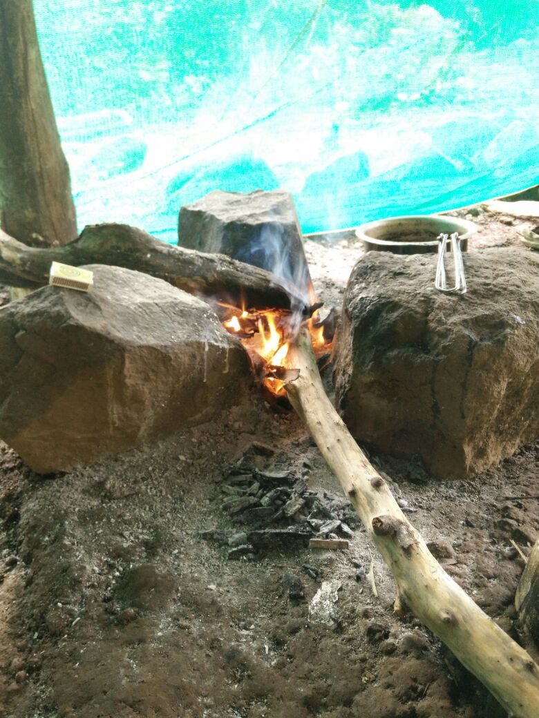 Photo of Bhimashankar trek 4/12 by Hiral Jain