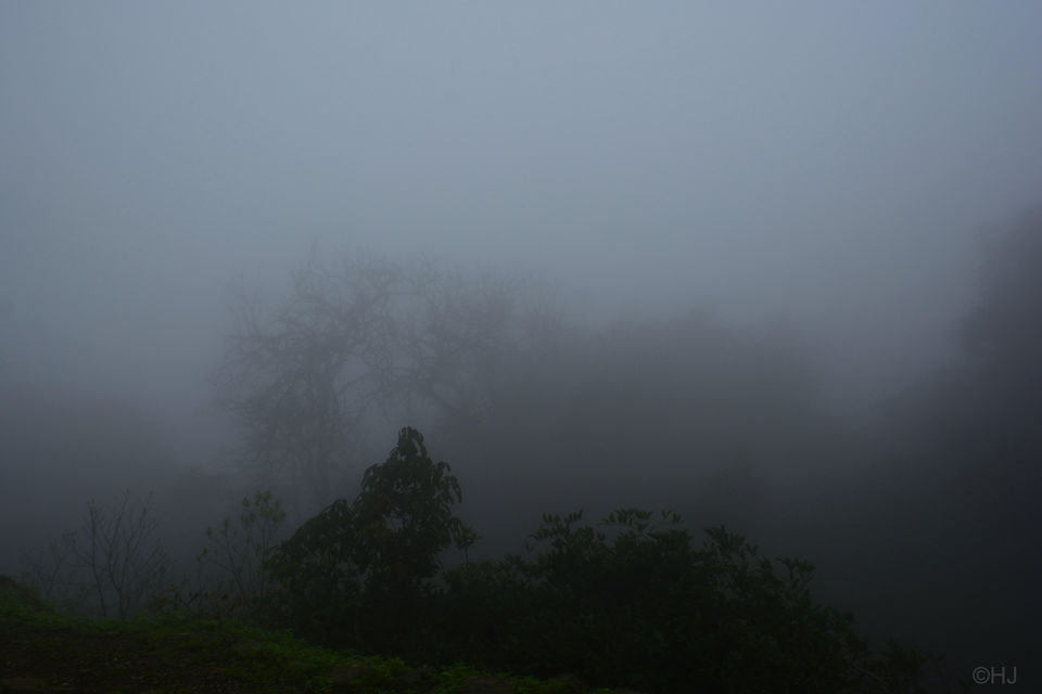 Photo of Bhimashankar trek 12/12 by Hiral Jain