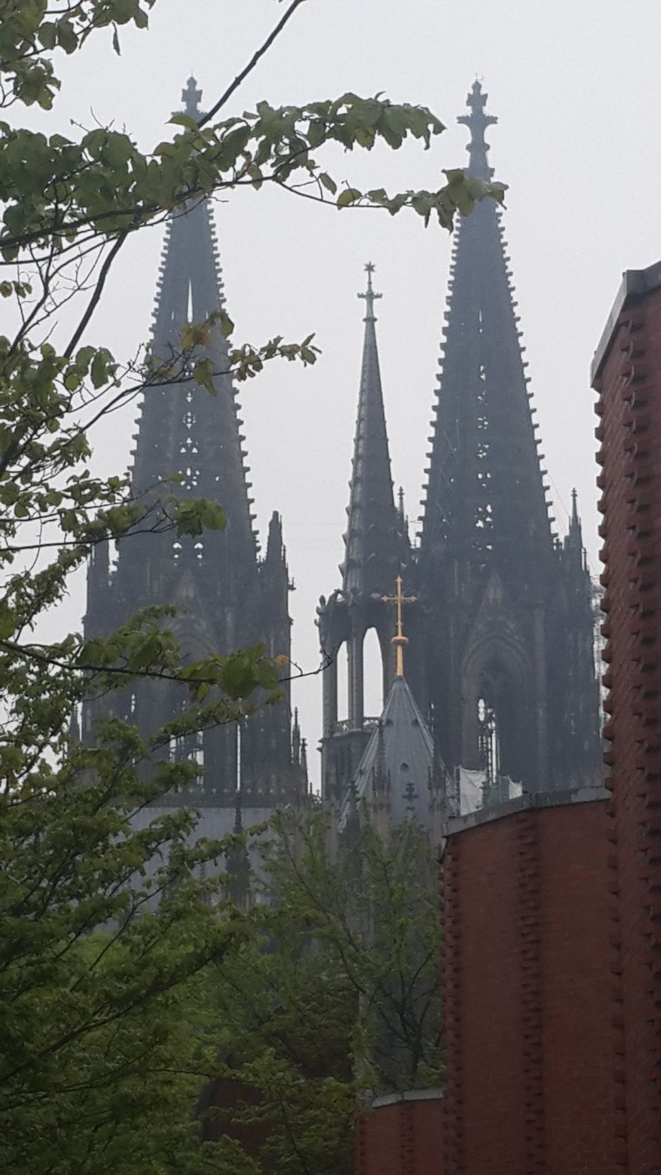 Photo of Germany by Megha