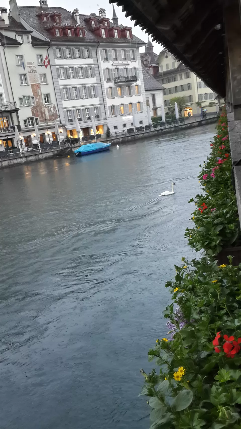 Photo of Switzerland by Megha