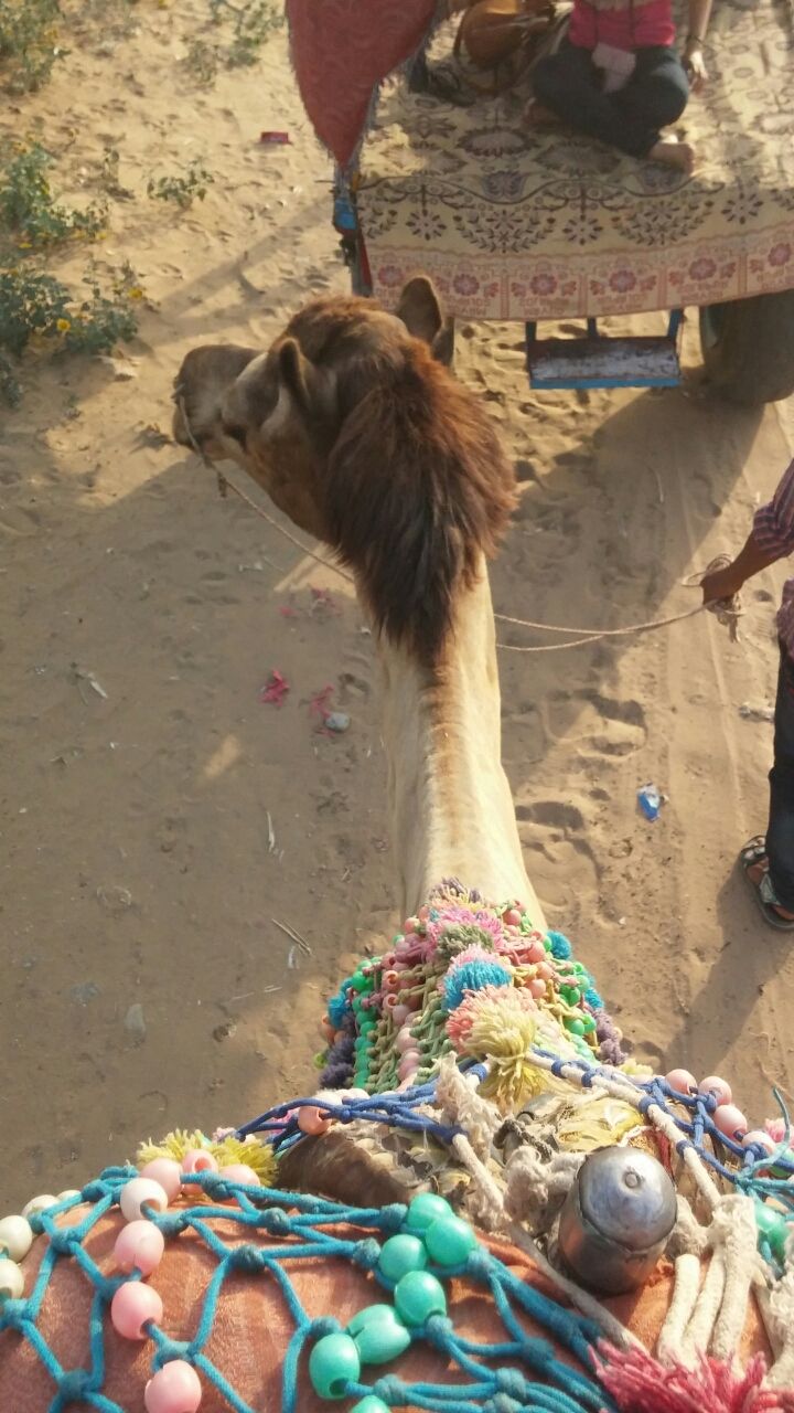 Photo of Pushkar, Rajasthan, India by Ikshwaku Deora