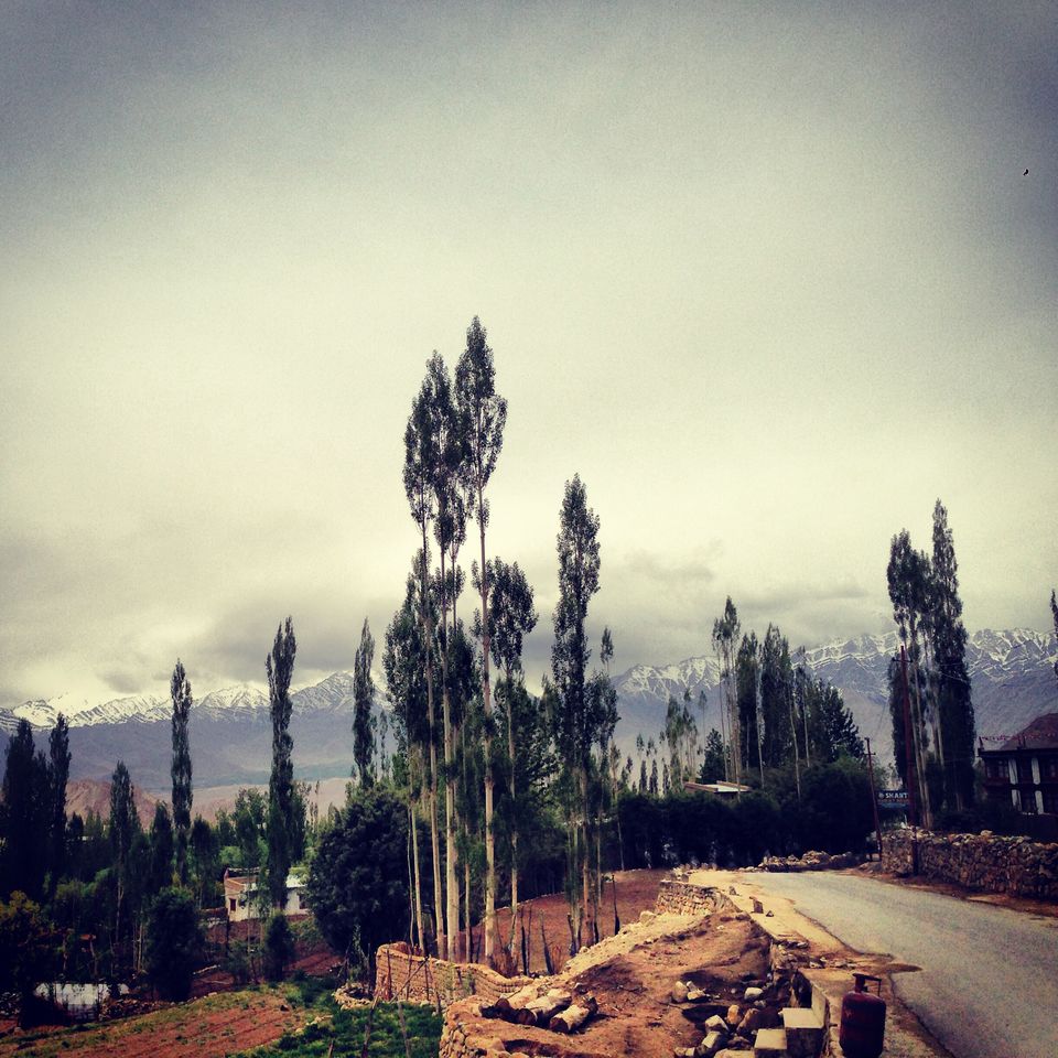 Photo of Mystic Ladakh by IbAd Khatib