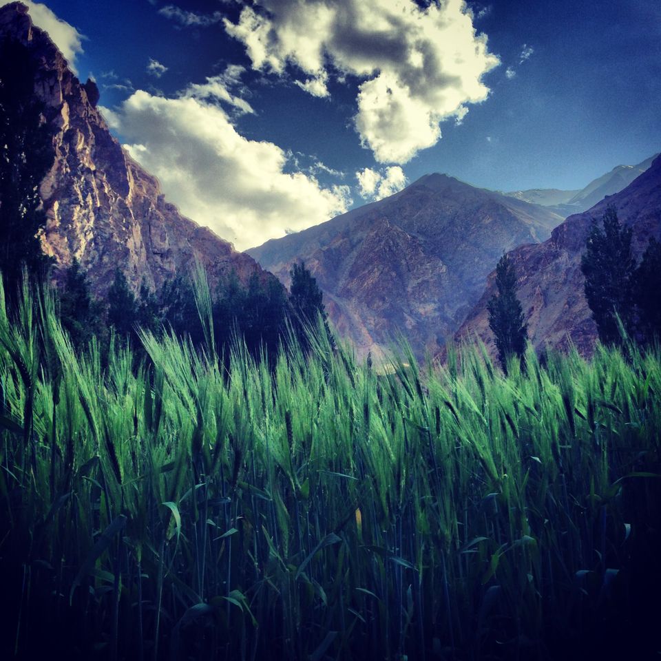 Photo of Mystic Ladakh by IbAd Khatib